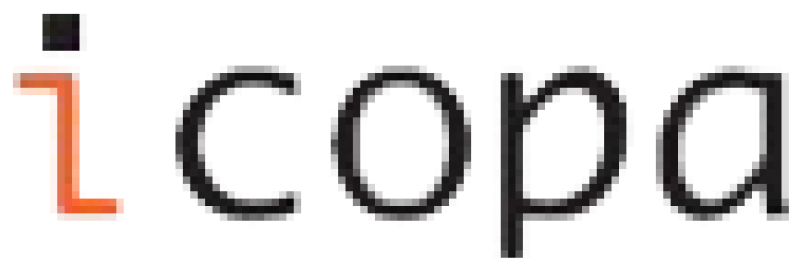 ICOPA IT-Consulting Partner