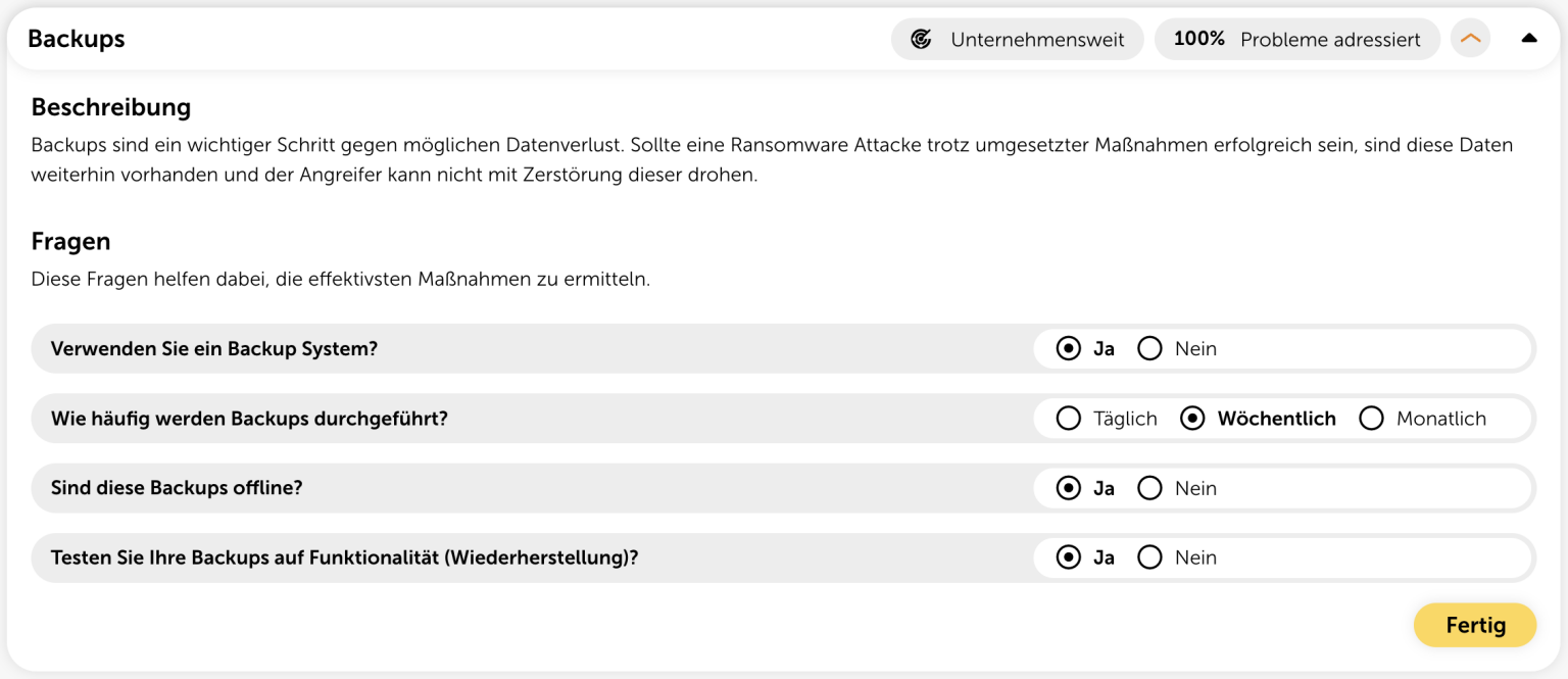 Fragebogen für Backups über Verwendung, Häufigkeit, Online/Offline und Wiederherstellung