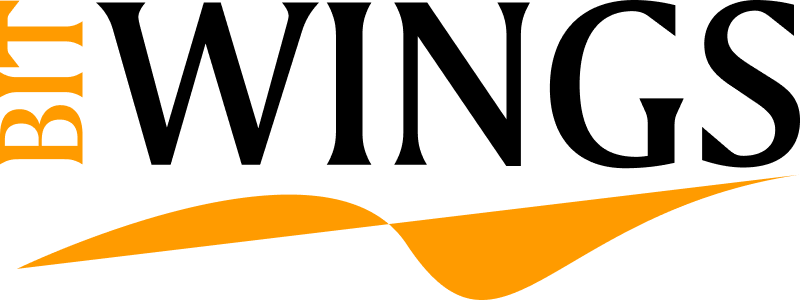 BITWINGS GmbH & Co. KG